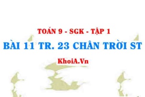 Bài 11 trang 23 Toán 9 Chân trời sáng tạo Tập 1